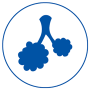 CombinedPEP icon