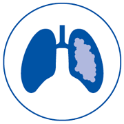 DynamicPEP icon