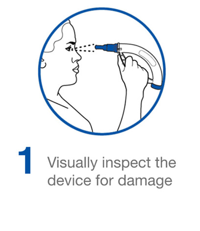 Visually inspect the device for damage