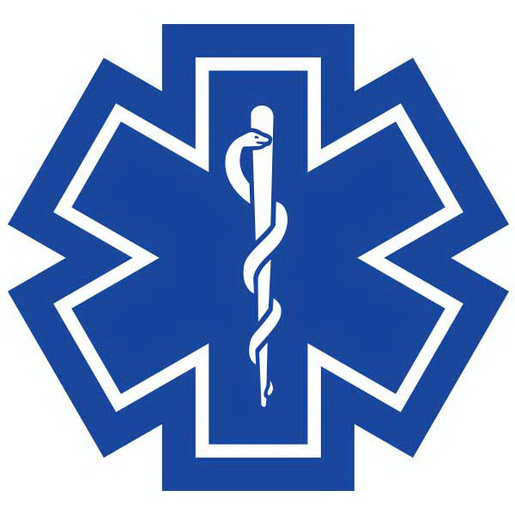 Star of Life Die-Cut Decals