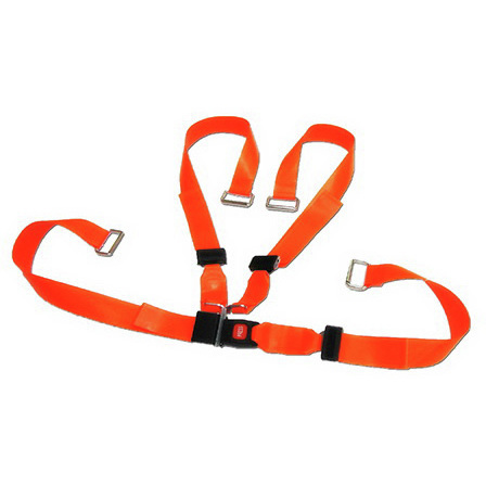 Shoulder Harness Restraint System