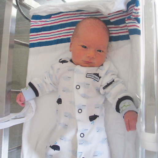 Posey Pediatric Soft Limb Restraints