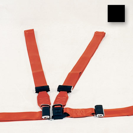 Shoulder Harness Restraint System