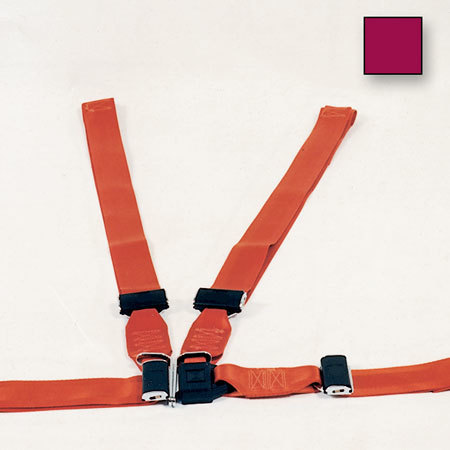 Shoulder Harness Restraint System