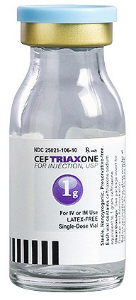 Ceftriaxone, 1g Vial