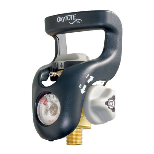 Oxytote NG Regulator Head Only with DISS Demand Outlet, 3/4in-16UNF Thread