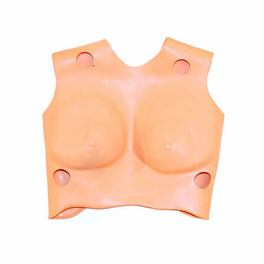 Chest Skin, Adult Female