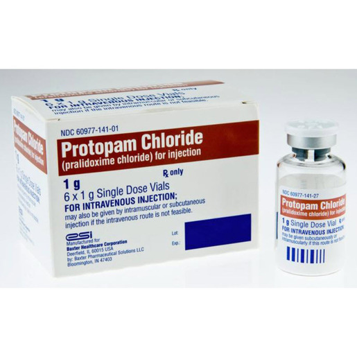 Protopam Chloride, 1g Vial