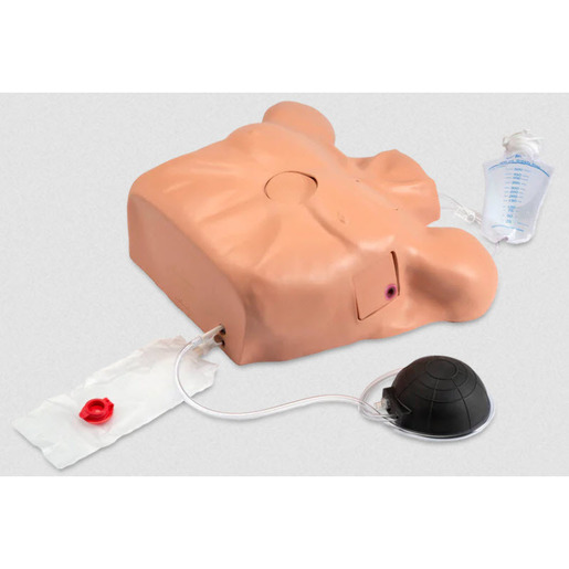 Nasco Life/form® Pericardiocentesis Simulator Manikin