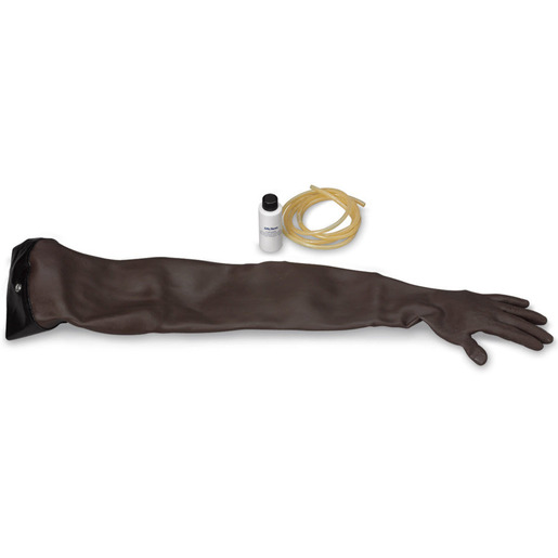 Life/form Adult Venipuncture/Injection Training Arms