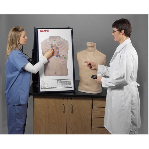 Nasco Life/form® Auscultation Training Station