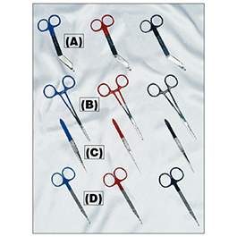 Lister Bandage Scissors, 5.5in, Red