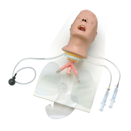 Life/form® Advanced “Airway Larry” Trainer Head, Adult