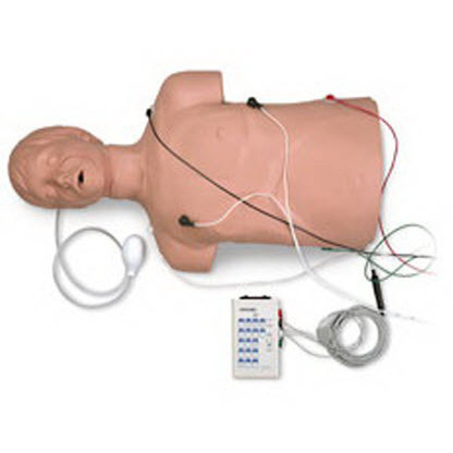 Defibrillation CPR Training Manikin with Carry Bag