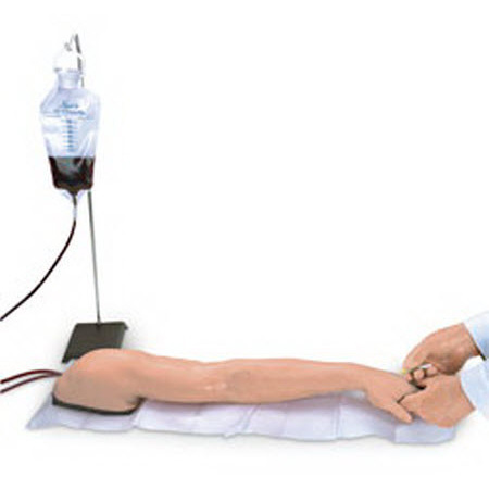 Life/form® Advanced Venipuncture and Injection Arm