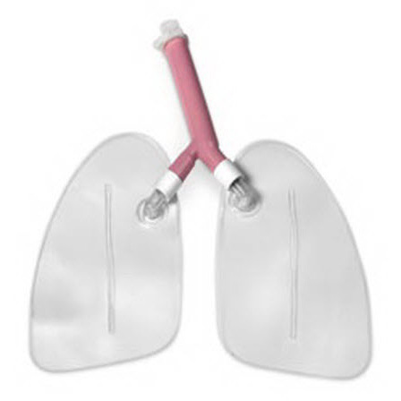 Life/form® Replacement Lungs, For Airway Management Trainer