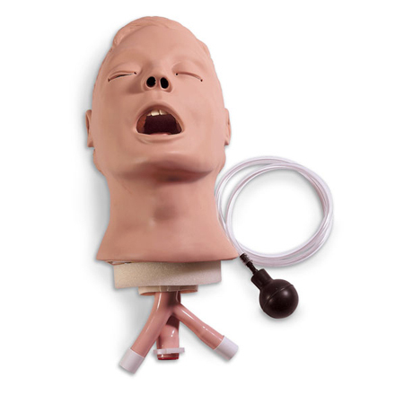 Life/Form® “Airway Larry” Airway Management Trainer Head, Adult