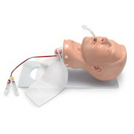 Deluxe Airway Management Trainer, Adult