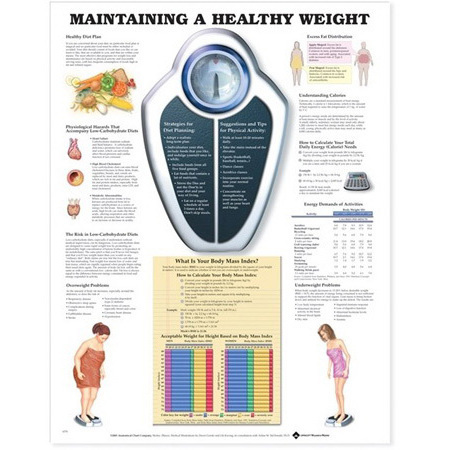 Understanding Diseases Charts