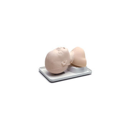 Airway Management Trainers