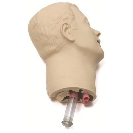 Head Skin and Airways, For Airway Management Trainer