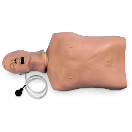 Life/form® Airway Larry Airway Management Trainer, Introductory/Advanced Students, Adult